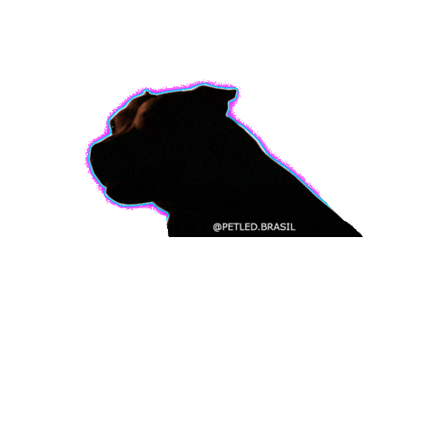 style petledbrasil Sticker by PETLED