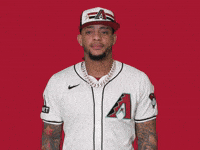 Well Done Yes GIF by MLB