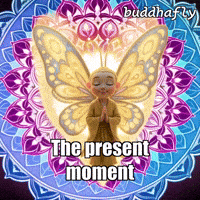Butterfly Flow GIF by BuddhaFlyJourney