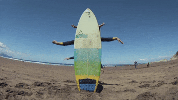 Travel Travelling GIF by https://www.sharryup.com/