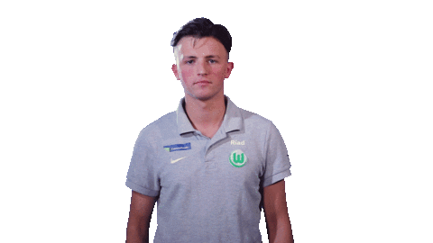 vflwolfsburg giphyupload playstation ps4 esport Sticker