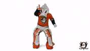 Lose Mighty Ducks GIF by Anaheim Ducks