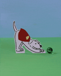 Stop Motion Dog GIF by cintascotch