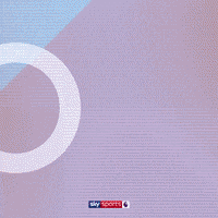 Goal Epl GIF by skysports