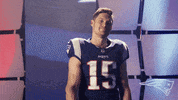 2018 Nfl No GIF by New England Patriots