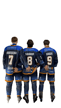Celebration Goal Sticker by Hockey Club Châlonnais