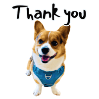Thanks Corgi Sticker