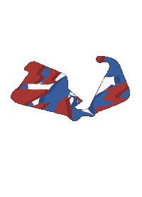 Racing F1 Sticker