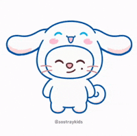 Stray Kids Skz GIF