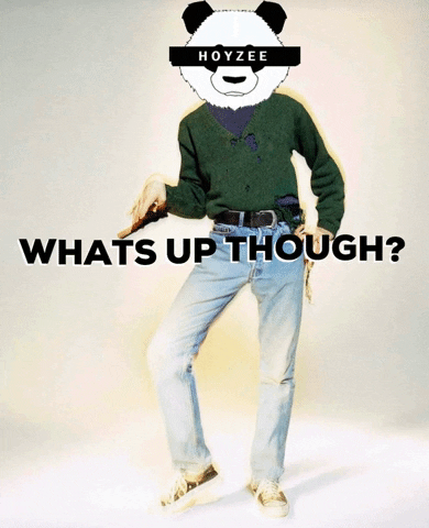 hoyzeee panda nirvana kurt cobain hoyzee GIF