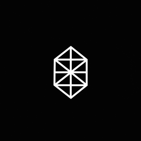 MAINSTAGE_NL mainstage mainstage brabanthallen mainstage nederland GIF