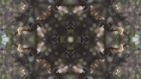 Art Love GIF by jorgemariozuleta
