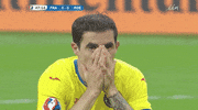 euro 2016 no GIF by Sporza