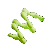 Grand Jamboree Sticker by iGEM Headquarters