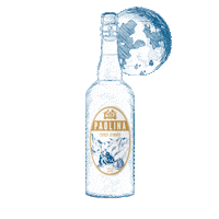 Beer Winter Sticker by Biera Paolina