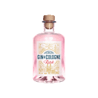 GindeCologne rose gin cologne koeln Sticker