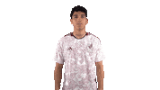 World Cup Football Sticker by MiSelecciónMX