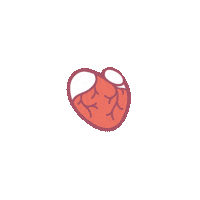 Organs Спасихауса Sticker by Телеканал Пятница!