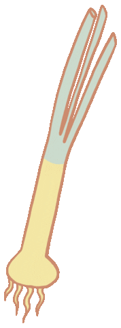 Food Cooking Sticker