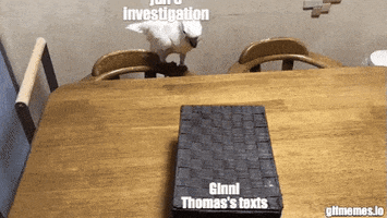 Meme gif. White parakeet climbs onto a dining table and flips open the lid of a black box, revealing a cute cat inside. The cat lashes out at the parakeet with its paw and the parakeet closes the box. Parakeet is labeled "Jan sixth investigation," the cat is labeled "Ginni Thomas' texts," and the cat's paw is labeled "treason."