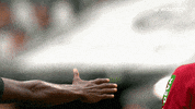 Soccer Bundesliga GIF by VfL Wolfsburg