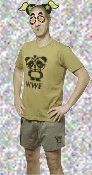 artists on tumblr wwf GIF by The NGB