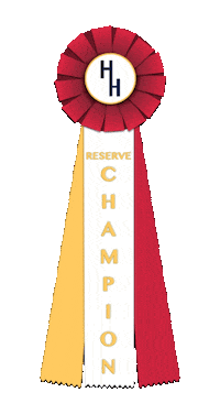 Champion Hhs Sticker by HapHansenStables