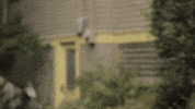 youtube family GIF by SoulPancake