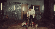 Dog Christmas GIF by Johnny Orlando