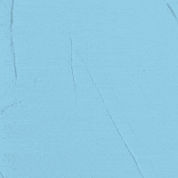 Teddy Bear GIF by Teddy Too Big