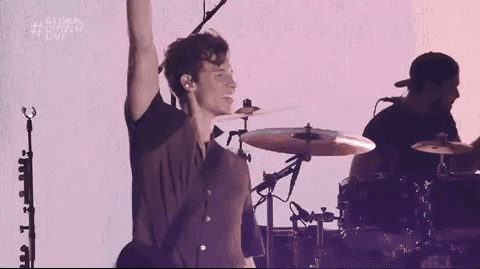 Shawn Mendes GIF by Global Citizen