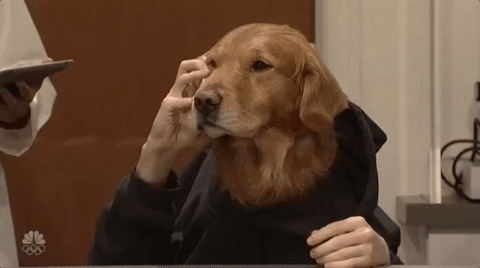 Dog Come Here GIF by Saturday Night Live