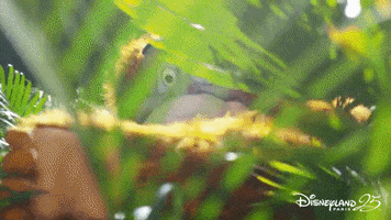 star wars kiss GIF by Disneyland Paris