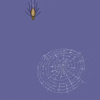 Halloween Fear GIF