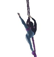 Circus Split Sticker by Starz Aerial