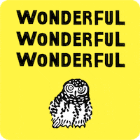 Birds Owls GIF