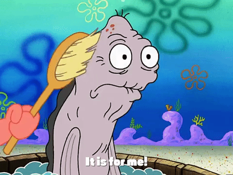 season 3 GIF by SpongeBob SquarePants