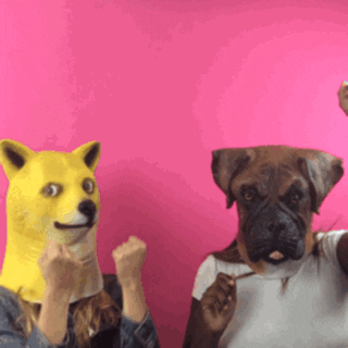 Dogs Dancing GIF by Fashion Institute of Design & Merchandising