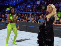 Charlotte Flair Fight GIF