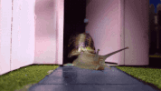 guess there sub pop GIF by Sub Pop Records