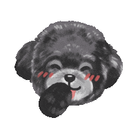 Toy Poodle Dog Sticker