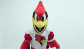 Mascot Reggie GIF by Illinois State University