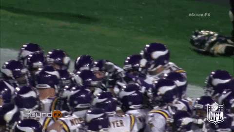 Minnesota Vikings Football GIF by NFL