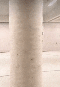 Happy Dance GIF by Dualtone Music Group