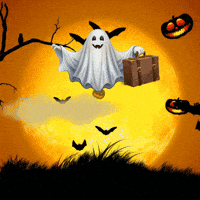 Halloween Night GIF by Concept Holidayz