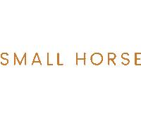 Shetlandpony Small Horse Sticker by lightandsupplehorses
