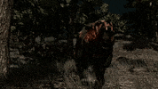 Red Dead Redemption Bear GIF by Rockstar Games