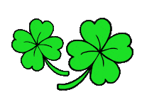 St Patricks Day Beer Sticker by COREY PAIGE DESIGNS