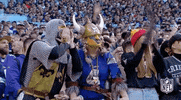 Minnesota Vikings Football GIF by NFL