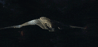 Star Trek Picard GIF by Paramount+